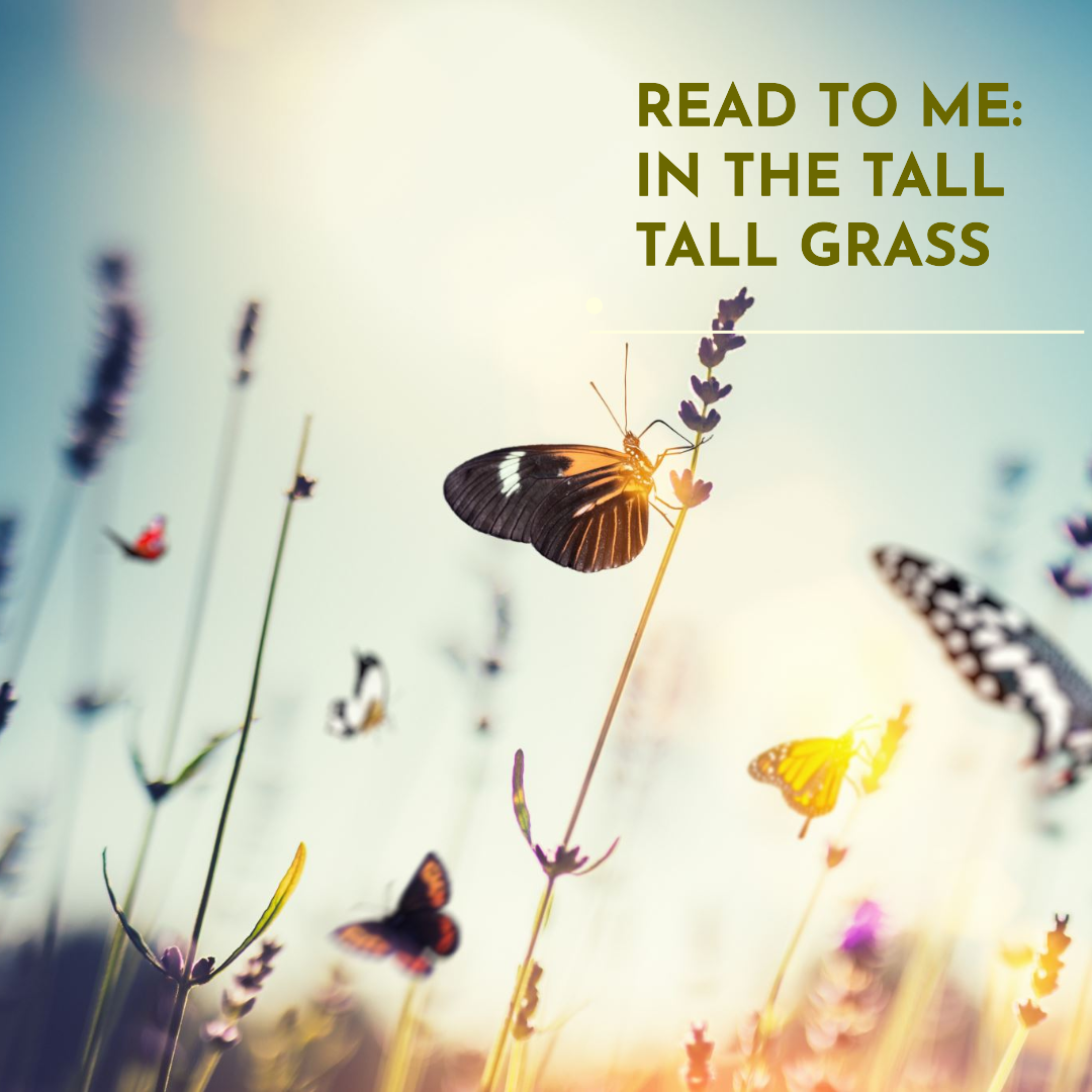 A peaceful moment in tall grass, featuring an open book surrounded by butterflies, evoking a sense of calm and imagination.